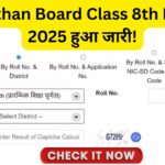 Rajasthan Board Class 8th Result 2025 हुआ जारी! अभी चेक करें रोल नंबर से मार्कशीट, देखें कितने नंबर आए!